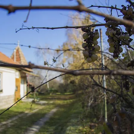 Indahouse Vendeghaz Guest house Pere